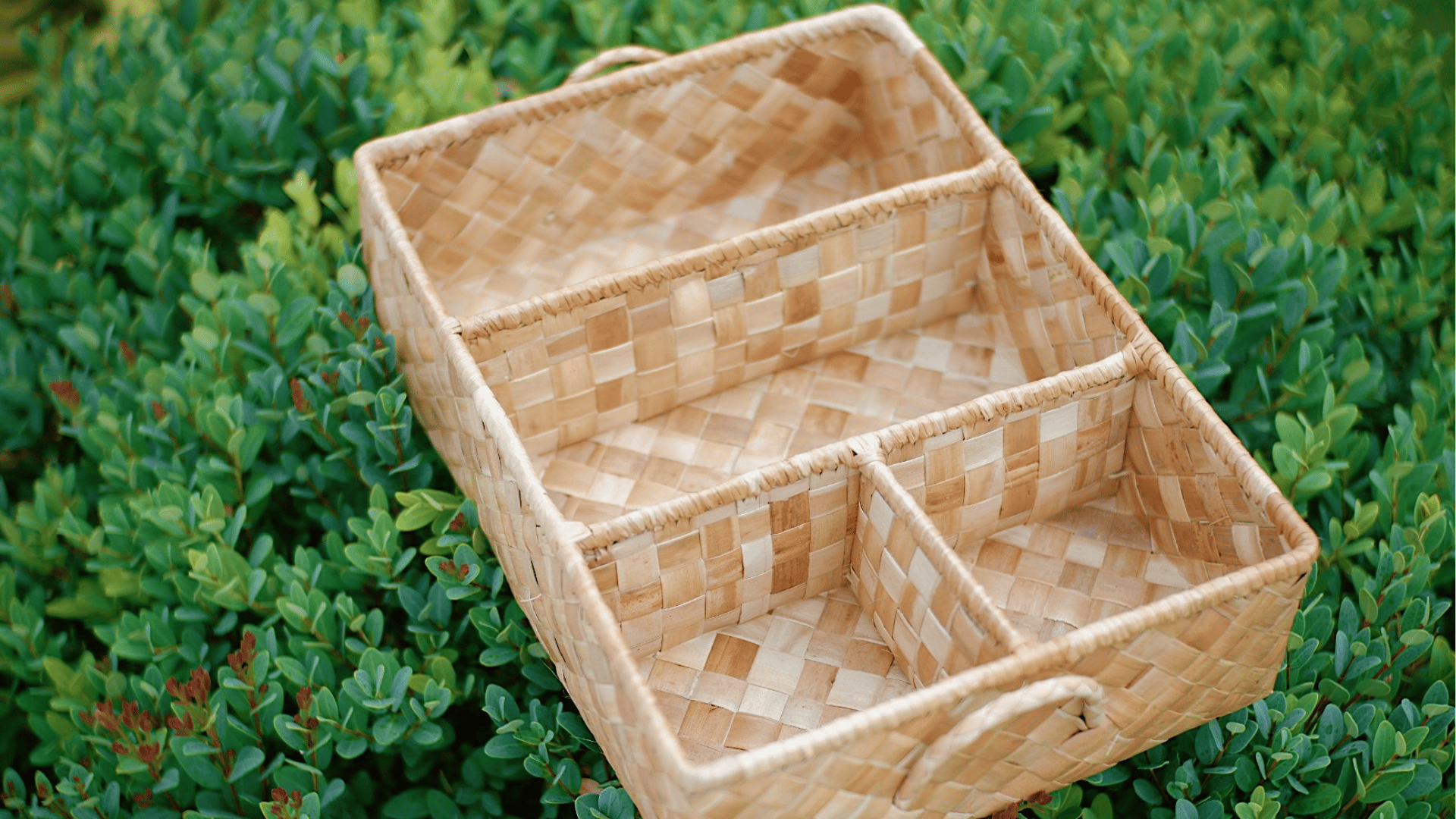 Handwoven Basket